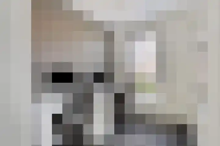 Lenastroom 29 Zoetermeer thumbnail 29