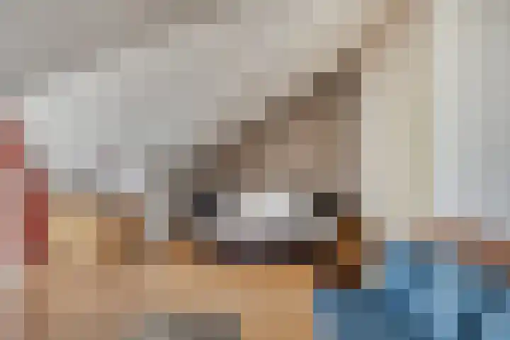 Lenastroom 29 Zoetermeer thumbnail 38