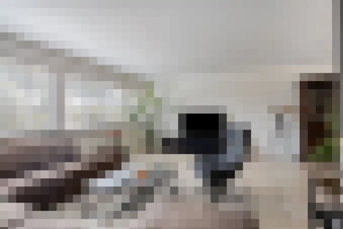 Lenastroom 29 Zoetermeer thumbnail 7