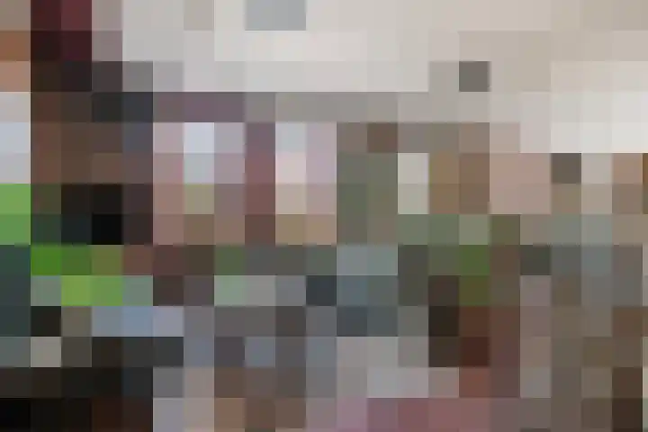 Lendersgat 1 Vorstenbosch thumbnail 12