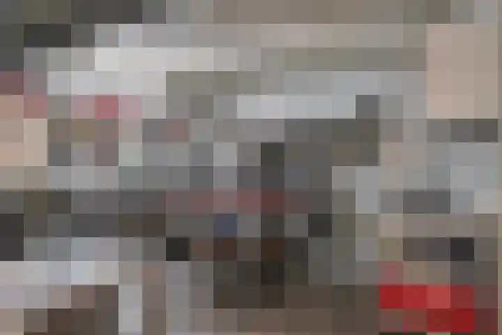 Lendersgat 1 Vorstenbosch thumbnail 14