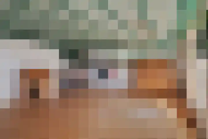 Lendersgat 1 Vorstenbosch thumbnail 15