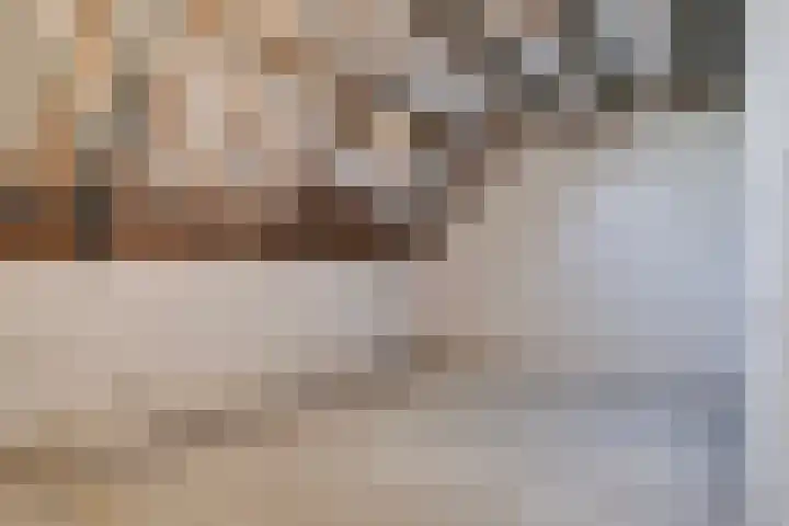 Lendersgat 1 Vorstenbosch thumbnail 18
