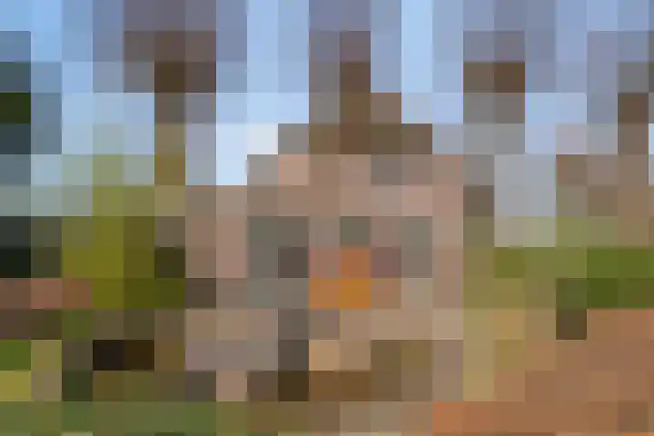 Lendersgat 1 Vorstenbosch thumbnail 6