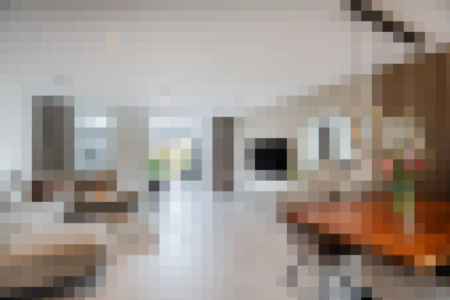 Leng 11 Schagen thumbnail 12