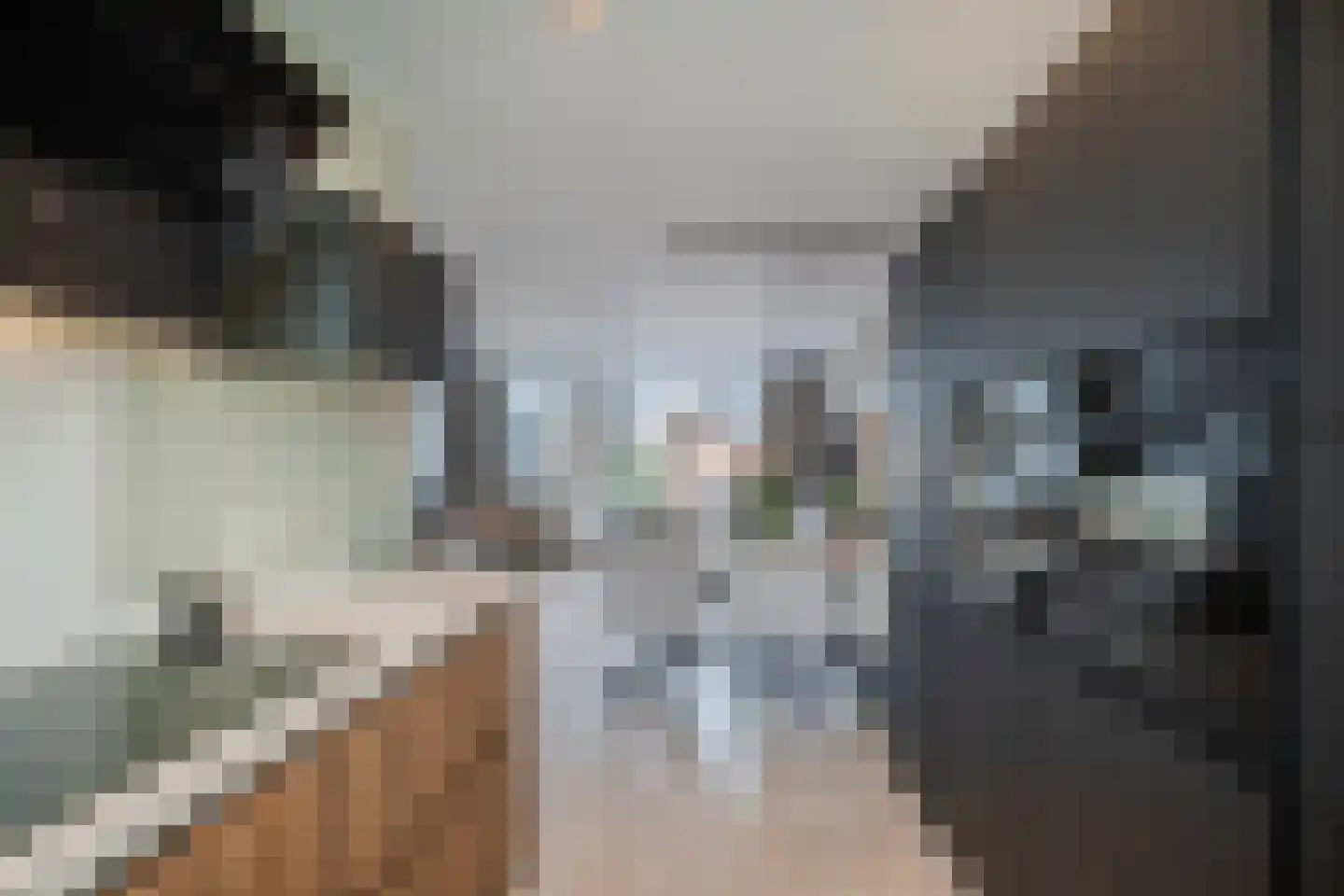 Leng 11 Schagen thumbnail 20