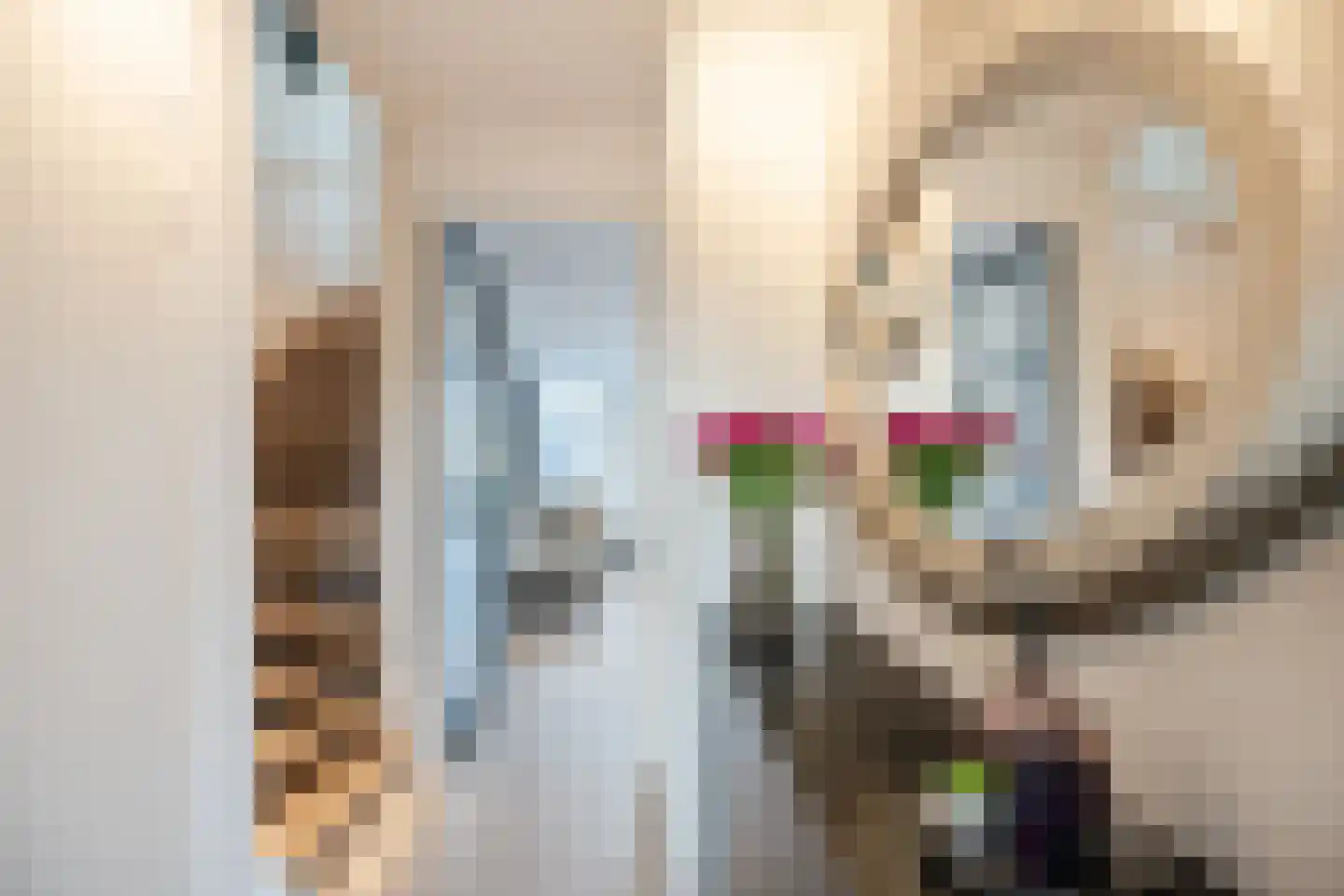 Leng 11 Schagen thumbnail 6