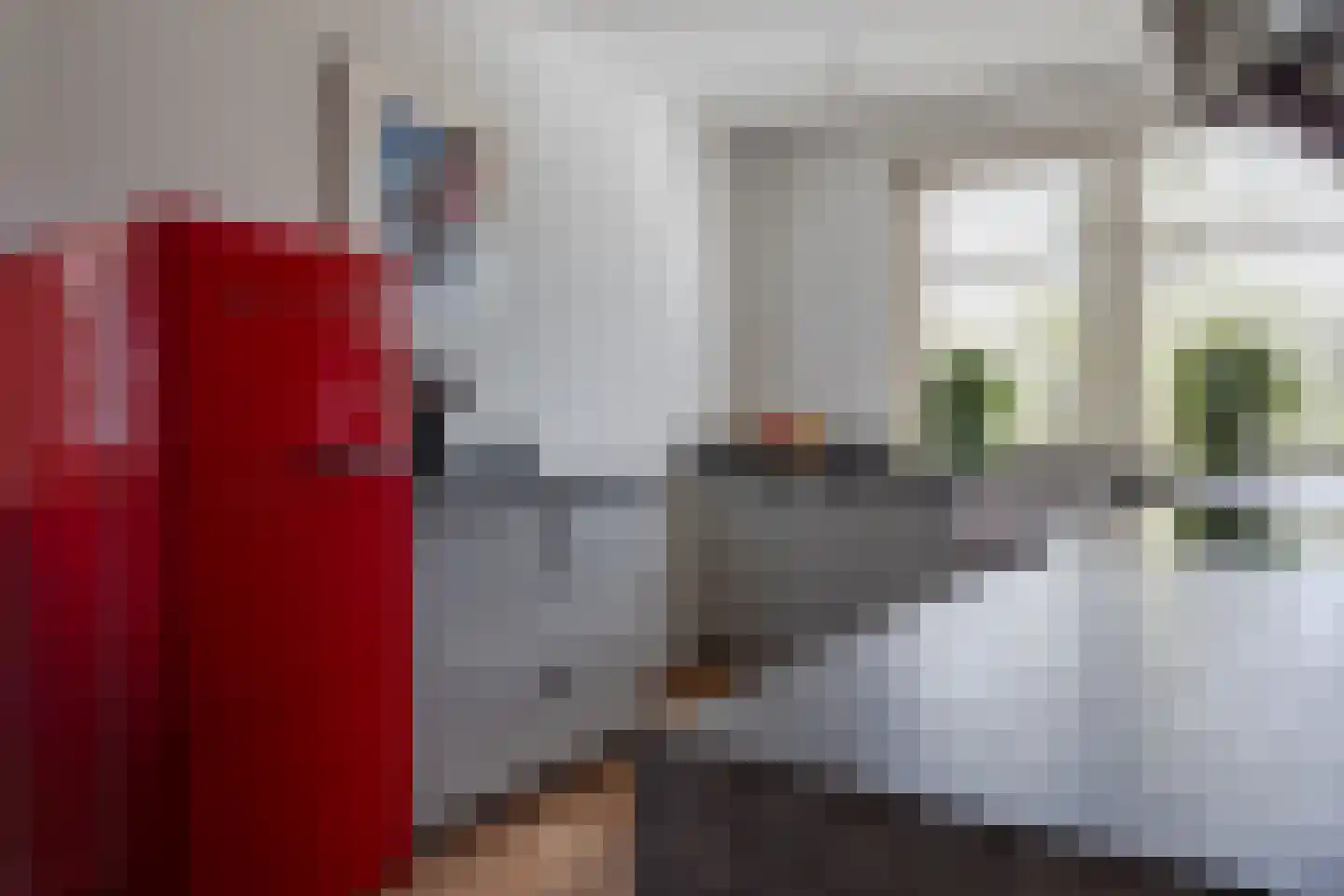 Leng 47 Schagen thumbnail 7