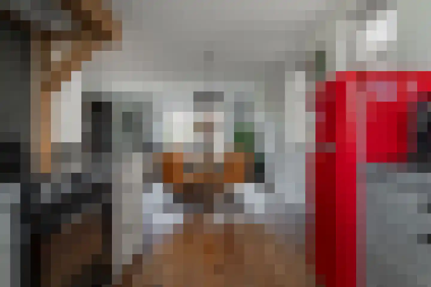 Leng 47 Schagen thumbnail 9