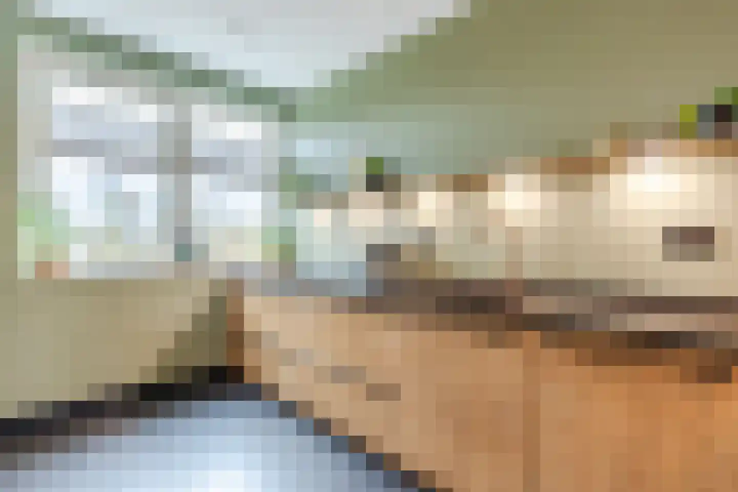 Leng 51 Schagen thumbnail 19