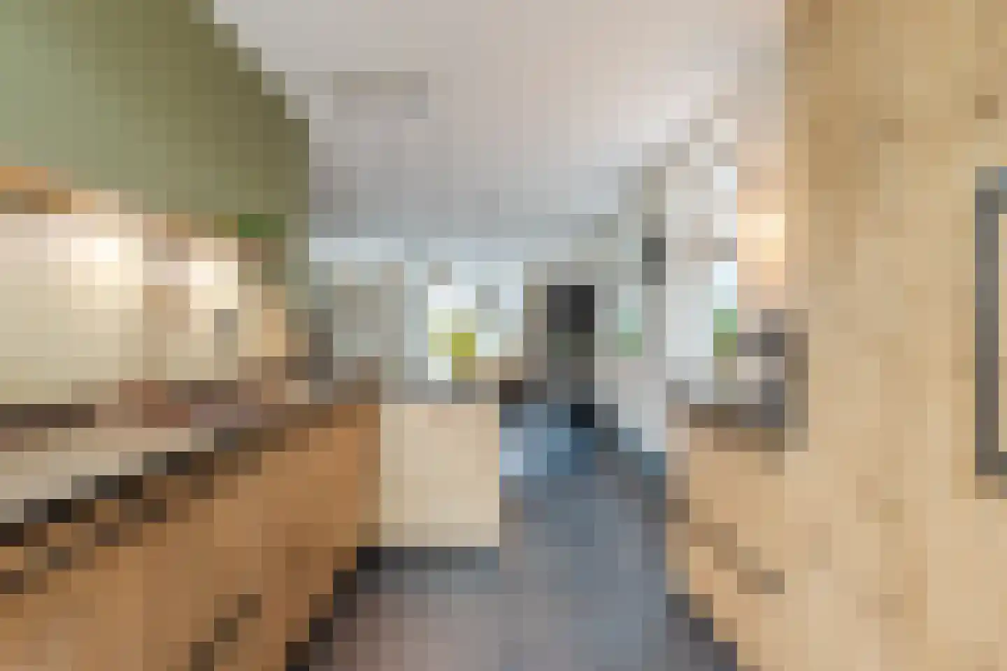 Leng 51 Schagen thumbnail 20