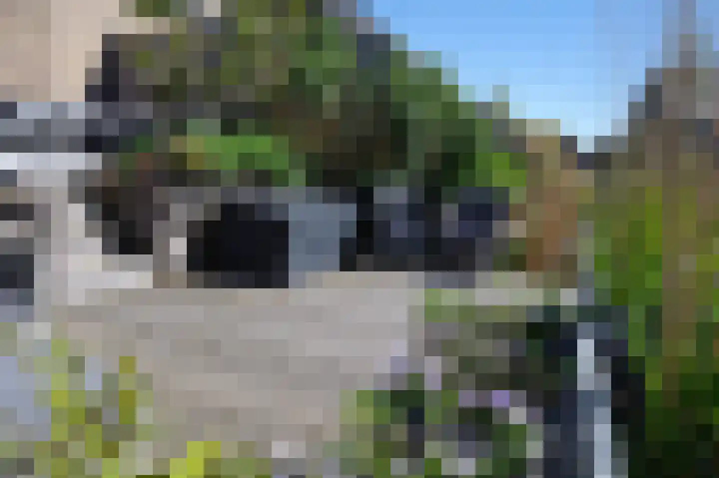Leng 51 Schagen thumbnail 49