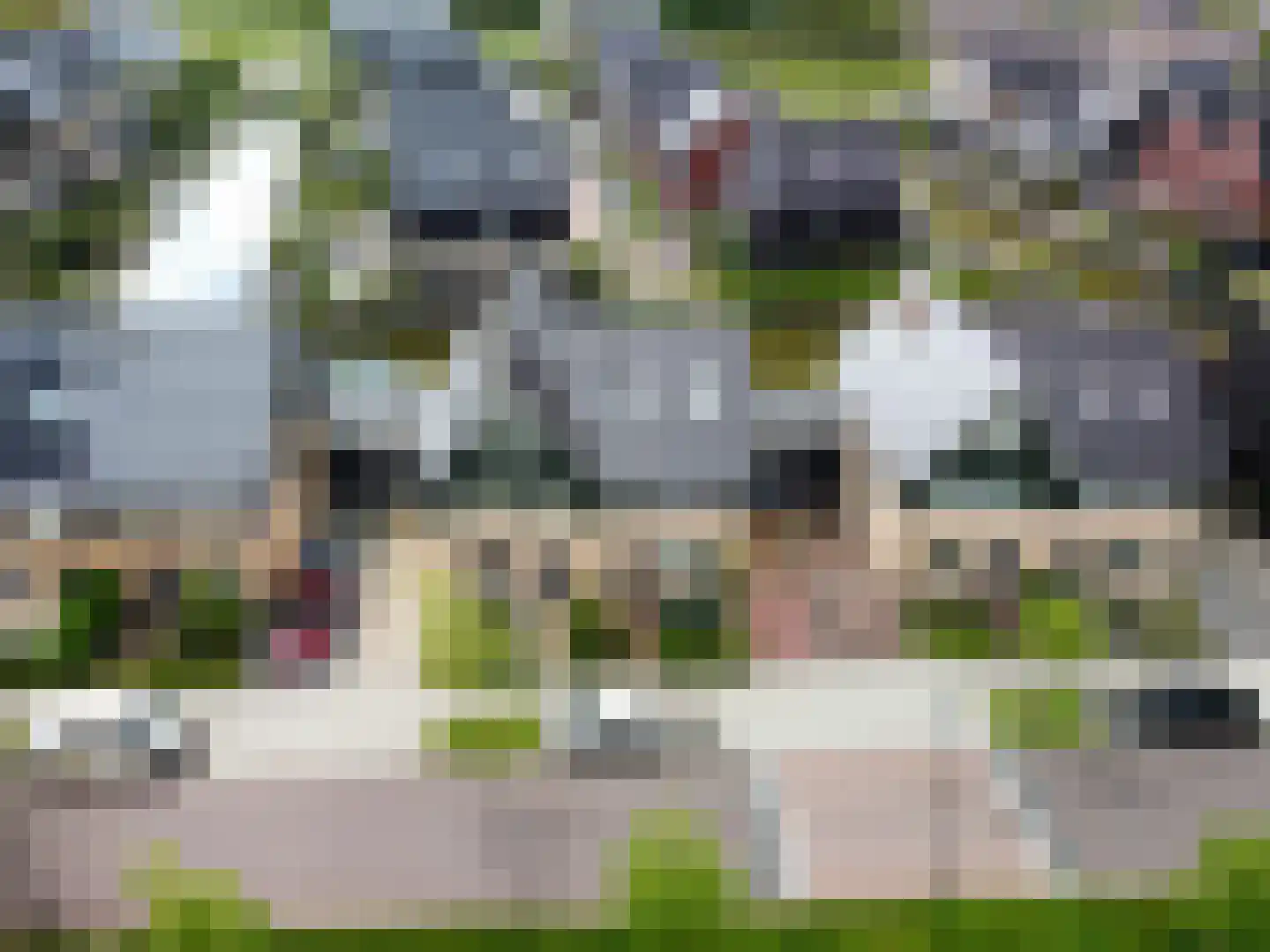 Leng 51 Schagen thumbnail 57