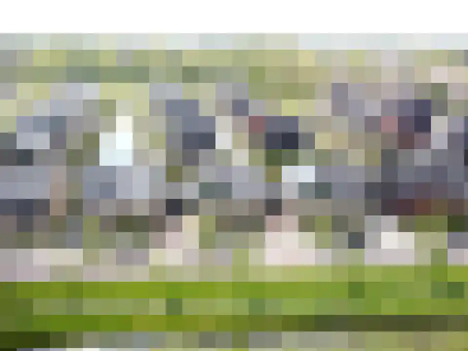 Leng 51 Schagen thumbnail 58