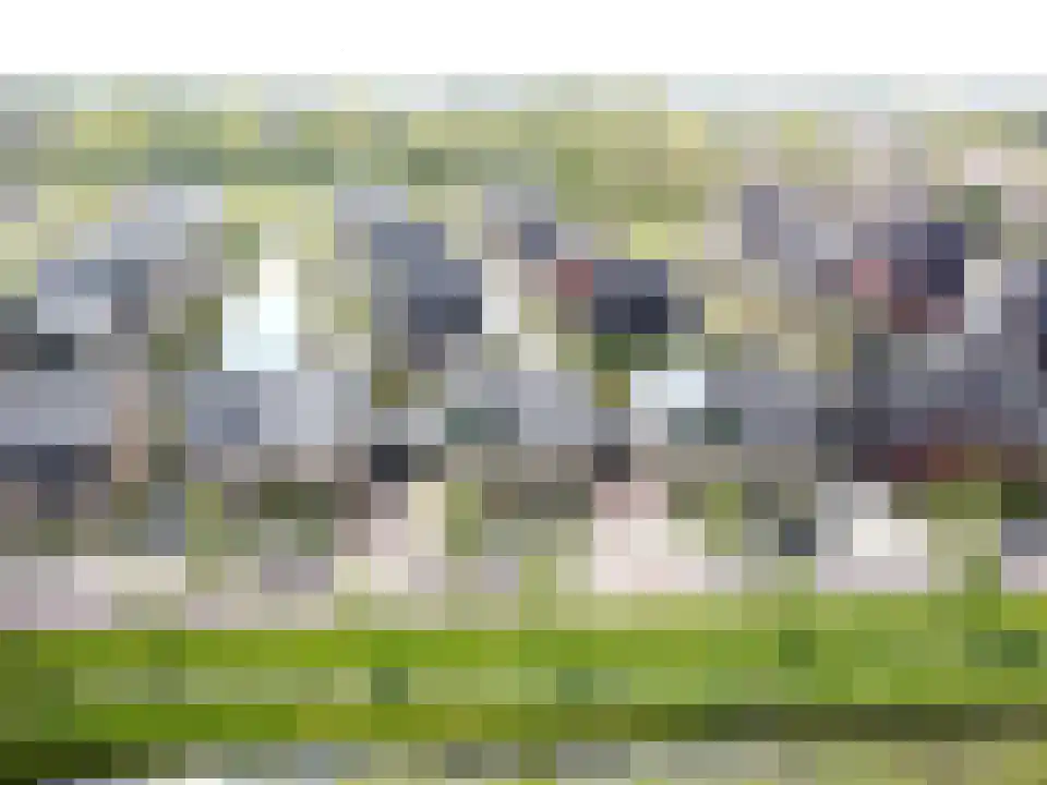 Leng 51 Schagen thumbnail 58
