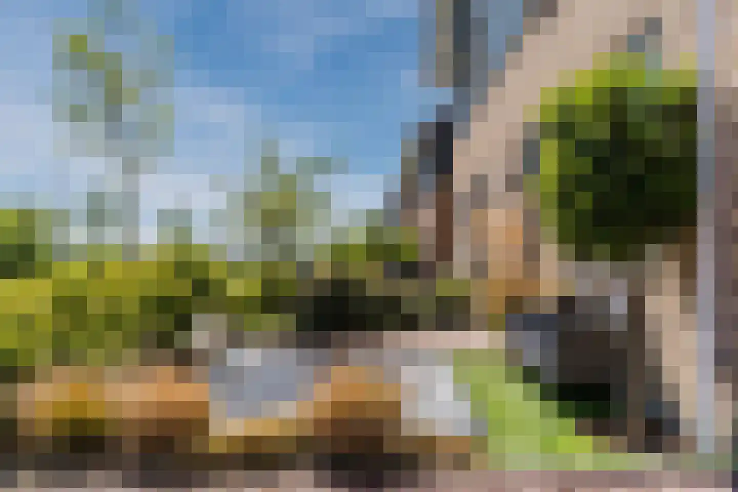 Leng 51 Schagen thumbnail 7