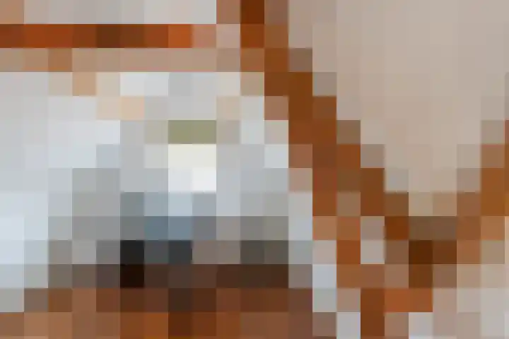 Lenghenstraat 3 Dordrecht thumbnail 51