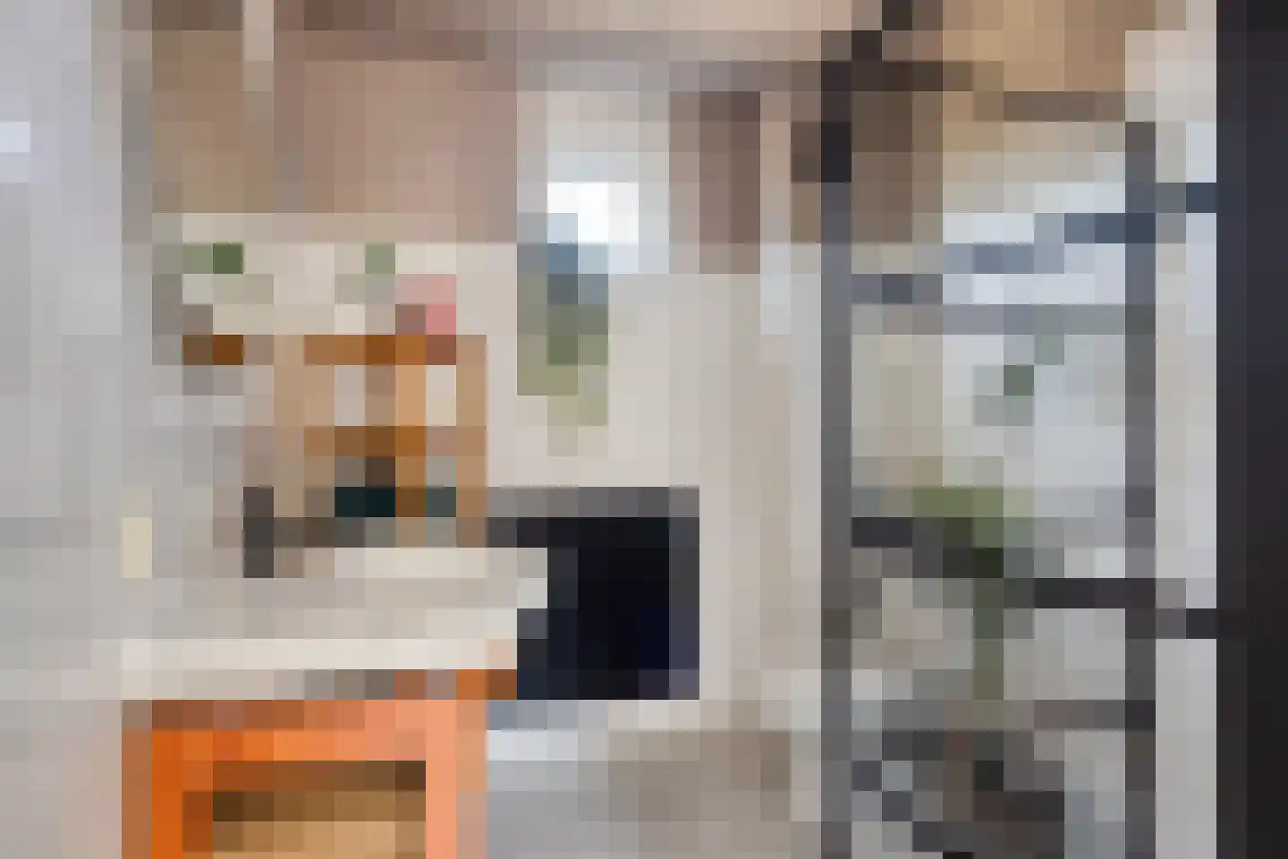 Lenie Blindstraat 28 Schagen thumbnail 21