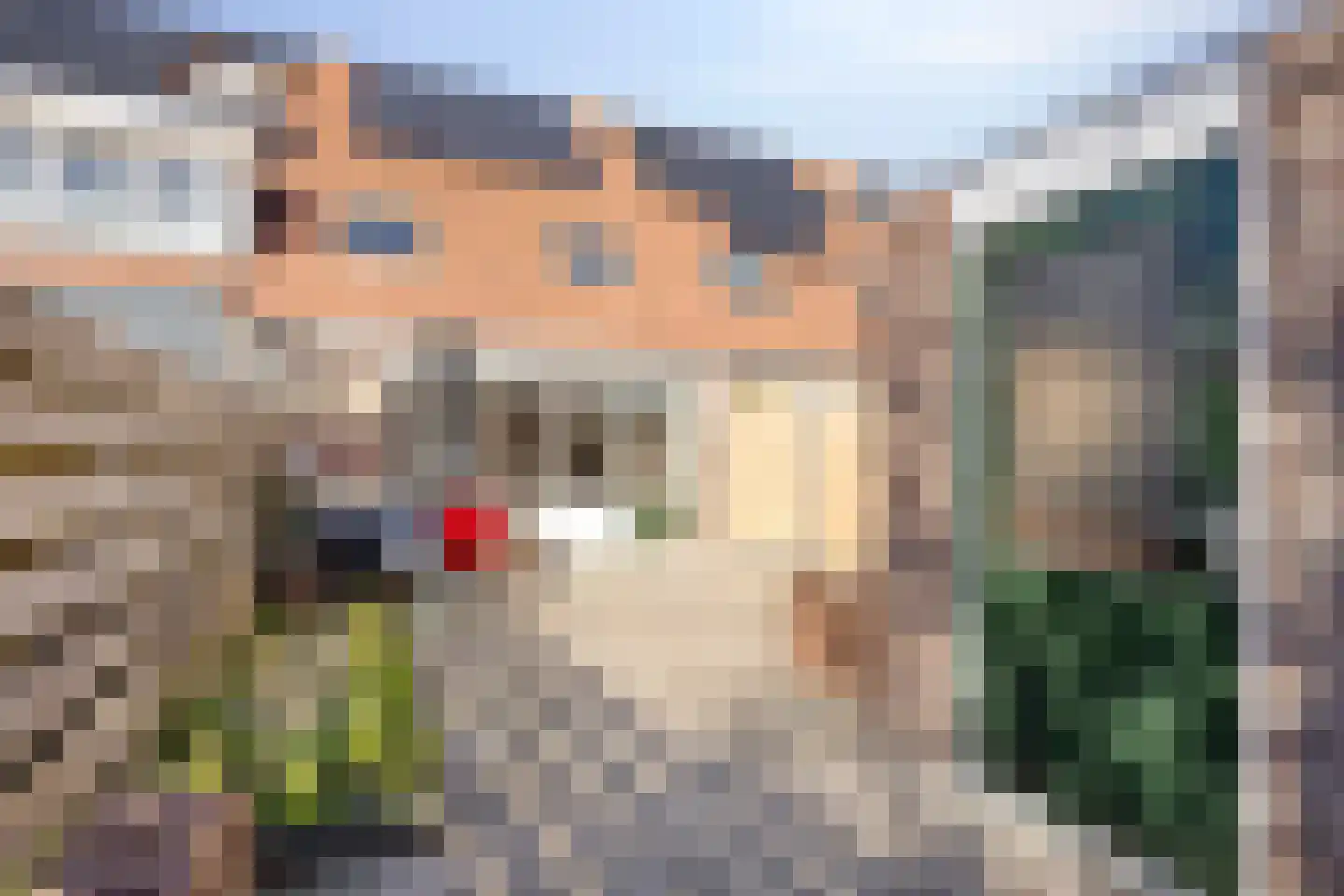 Lenie Blindstraat 28 Schagen thumbnail 29