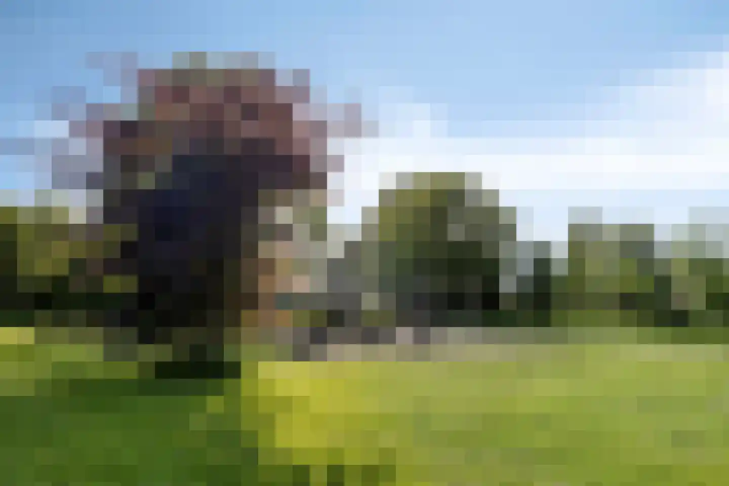 Lenie Blindstraat 8 Schagen thumbnail 44