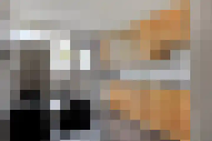 Lenningenhof 1 Eindhoven thumbnail 12