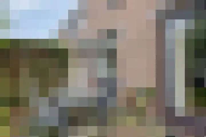 Lenningenhof 1 Eindhoven thumbnail 27