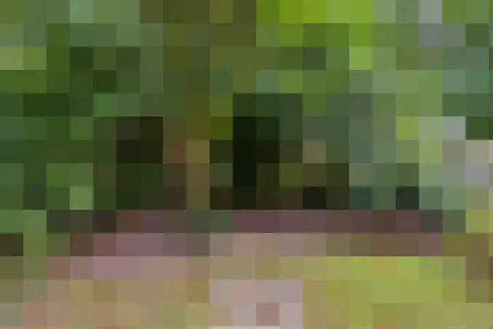 Lenningenhof 1 Eindhoven thumbnail 29