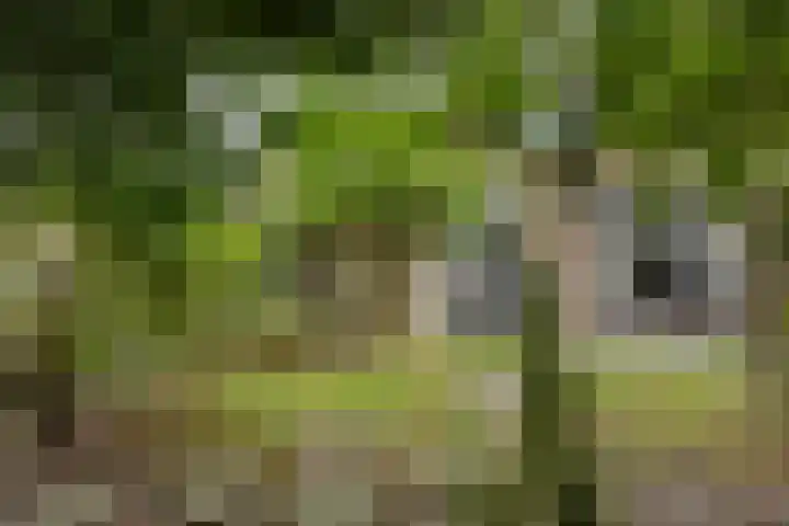 Lenningenhof 1 Eindhoven thumbnail 30