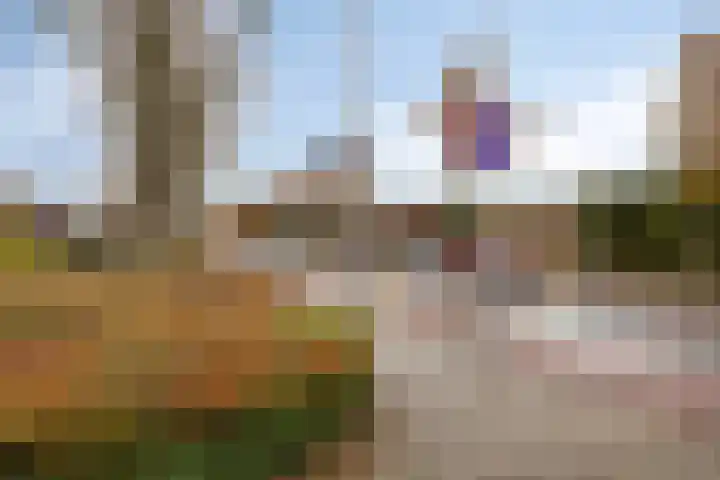 Lenningenhof 1 Eindhoven thumbnail 31