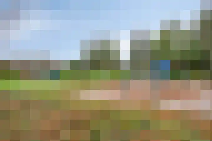 Lenningenhof 1 Eindhoven thumbnail 32