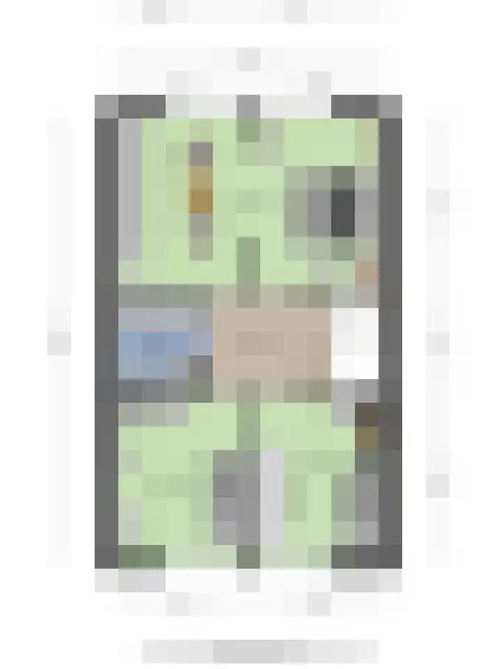 Lenningenhof 1 Eindhoven thumbnail 35