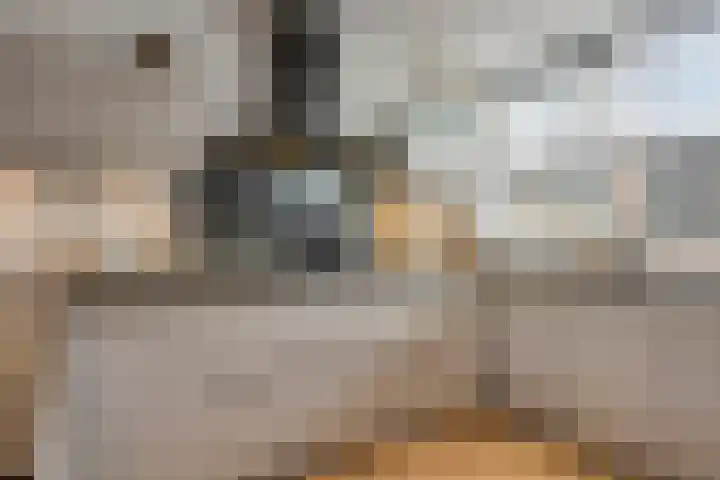 Lenningenhof 10 Eindhoven thumbnail 11