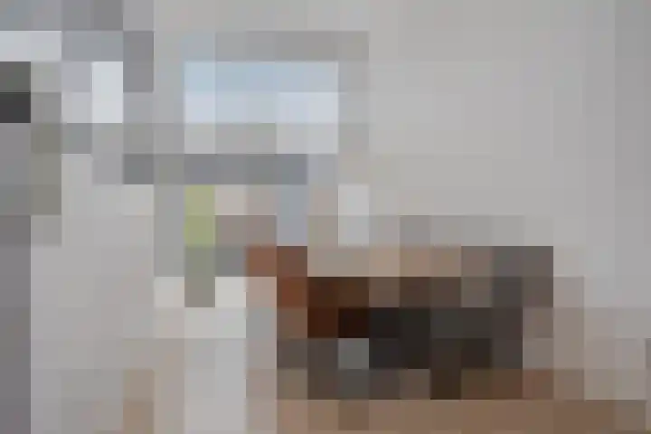 Lenningenhof 10 Eindhoven thumbnail 15