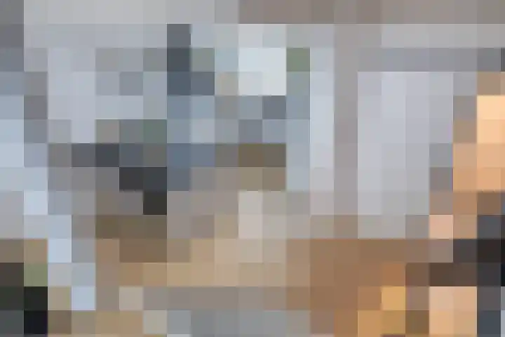 Lenningenhof 10 Eindhoven thumbnail 22