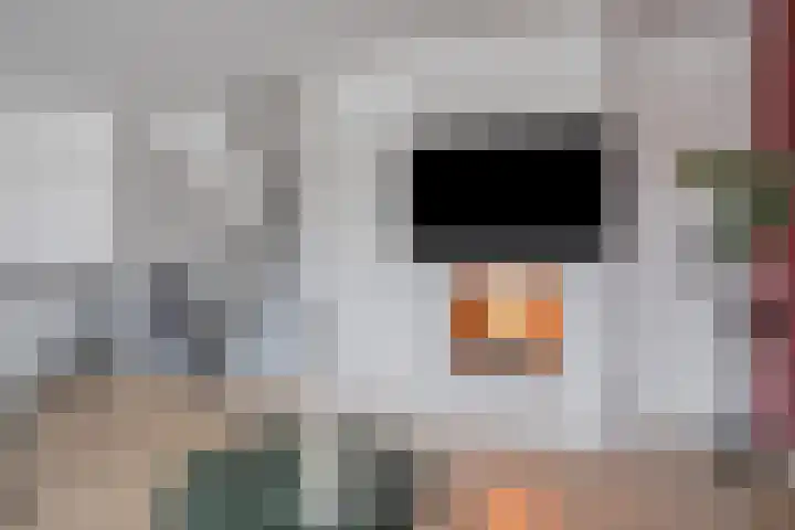 Lenningenhof 10 Eindhoven thumbnail 25