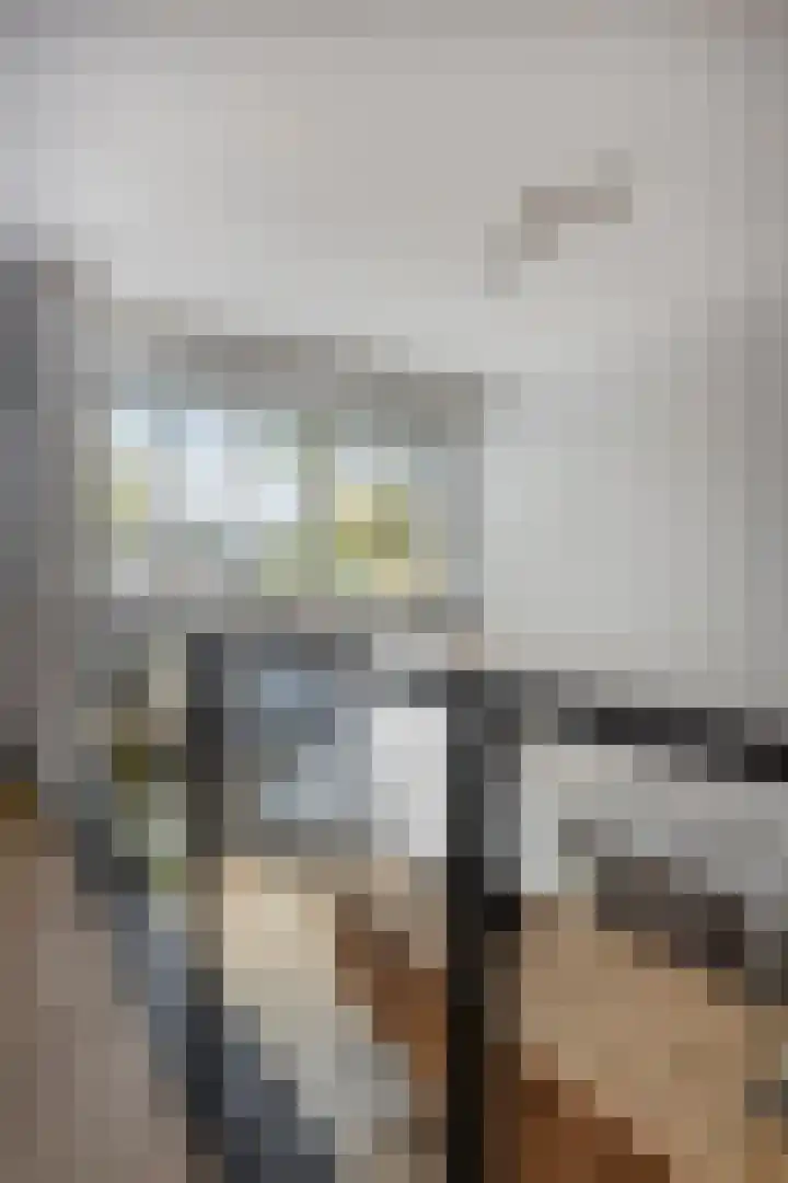Lenningenhof 10 Eindhoven thumbnail 29