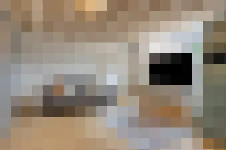 Lenningenhof 10 Eindhoven thumbnail 31