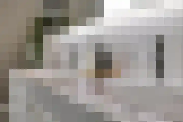Lenningenhof 10 Eindhoven thumbnail 37