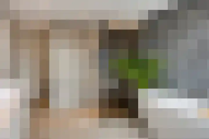 Lenningenhof 10 Eindhoven thumbnail 4