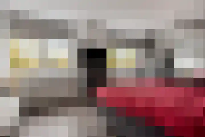 Lenningenhof 10 Eindhoven thumbnail 43