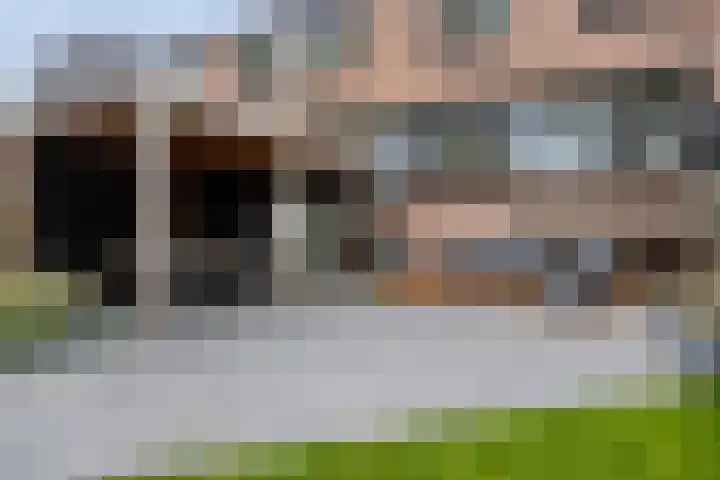Lenningenhof 10 Eindhoven thumbnail 56