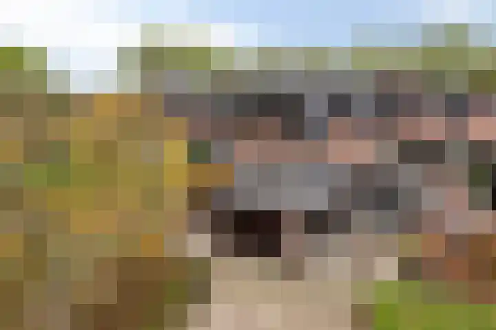 Lenningenhof 10 Eindhoven thumbnail 59