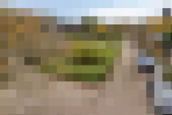 Lenningenhof 10 Eindhoven thumbnail 60