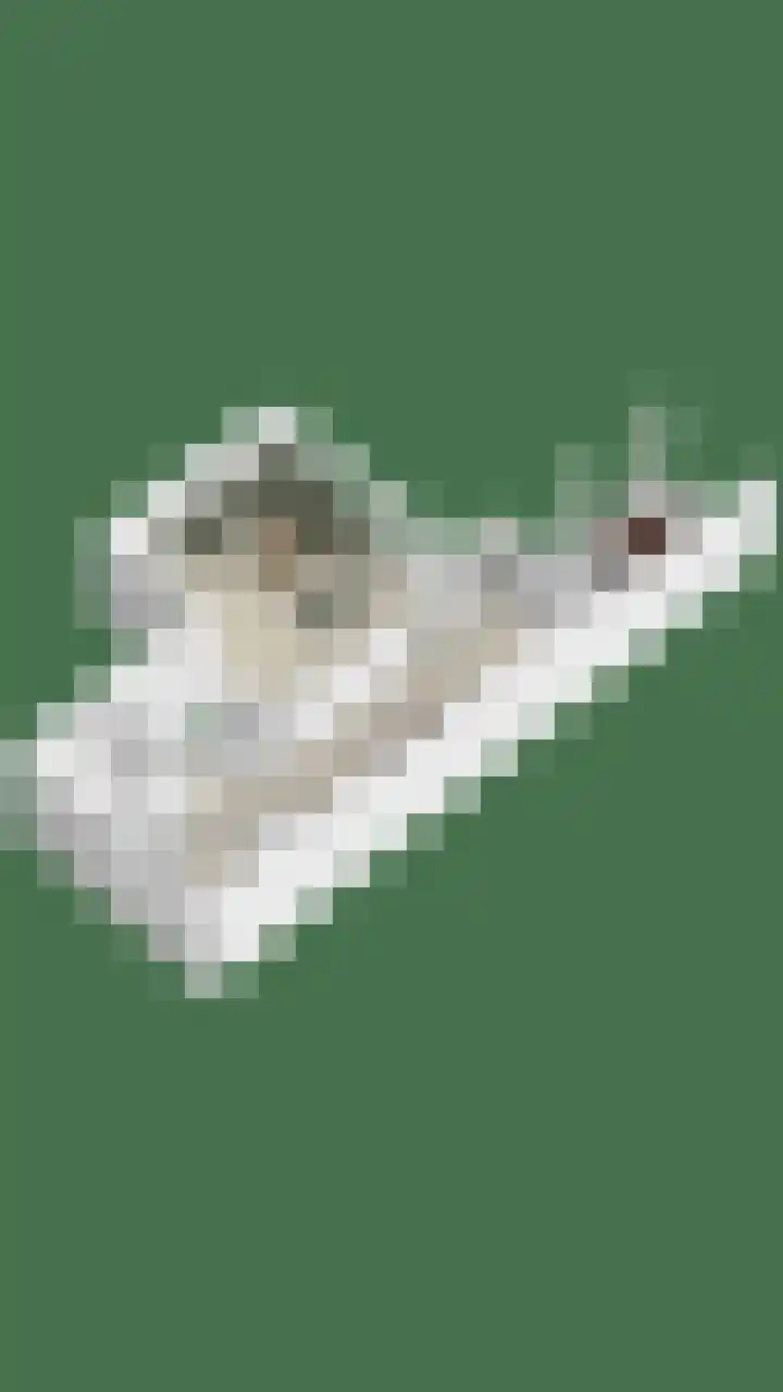 Lenningenhof 10 Eindhoven thumbnail 63