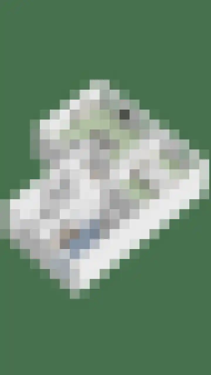 Lenningenhof 10 Eindhoven thumbnail 67