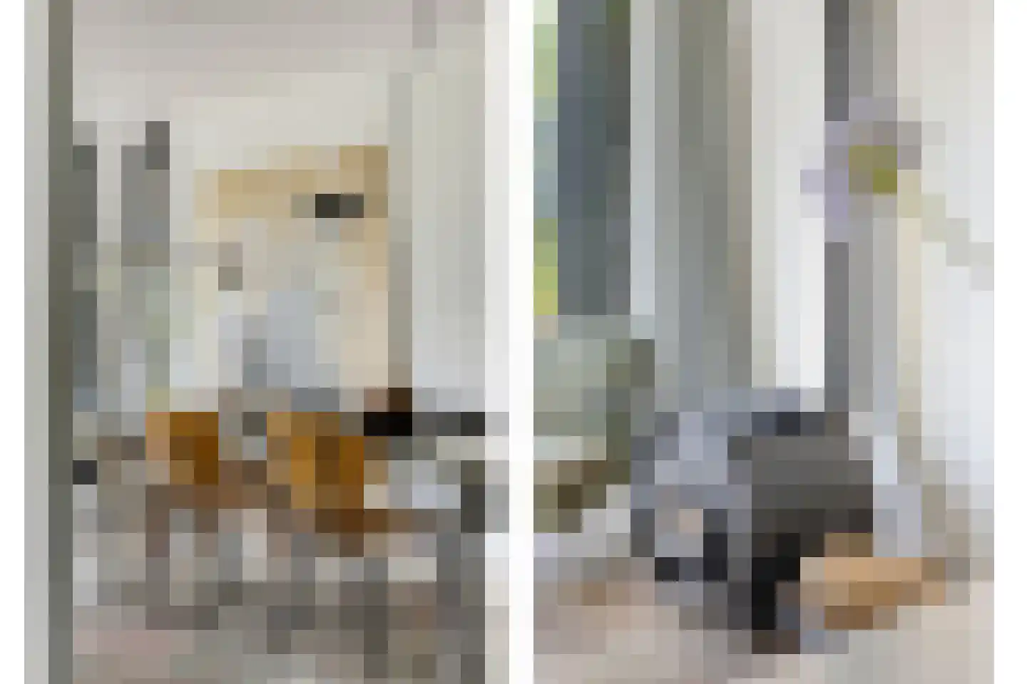 Lenningenhof 11 Eindhoven thumbnail 15