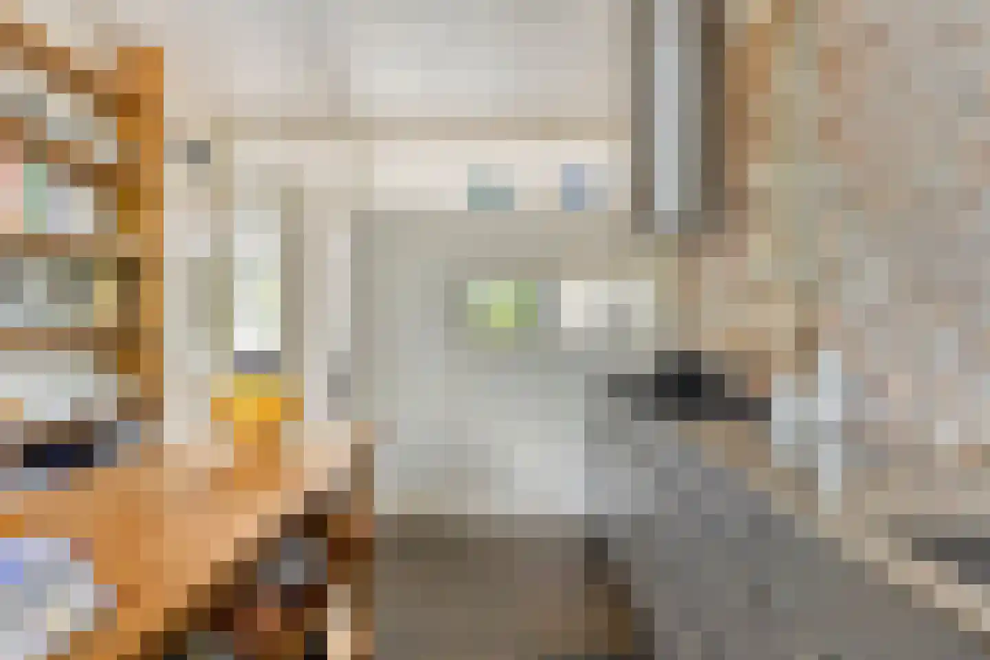 Lenningenhof 11 Eindhoven thumbnail 17