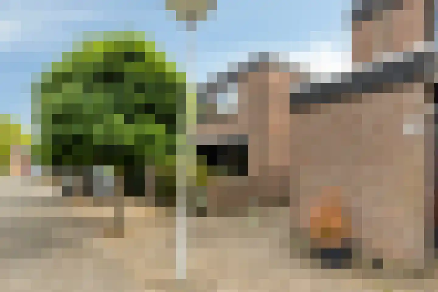 Lenningenhof 11 Eindhoven thumbnail 36