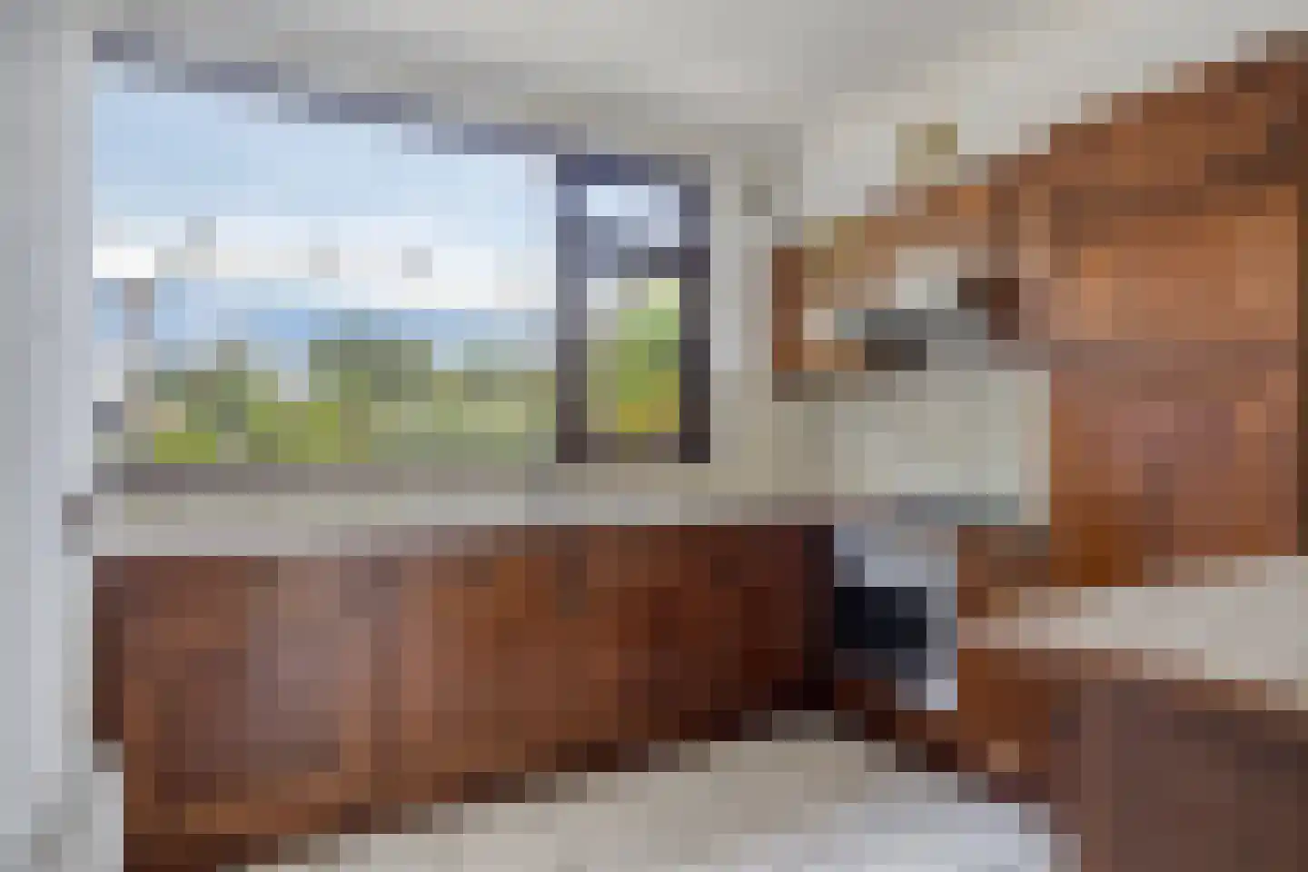 Lenningenhof 15 Eindhoven thumbnail 21