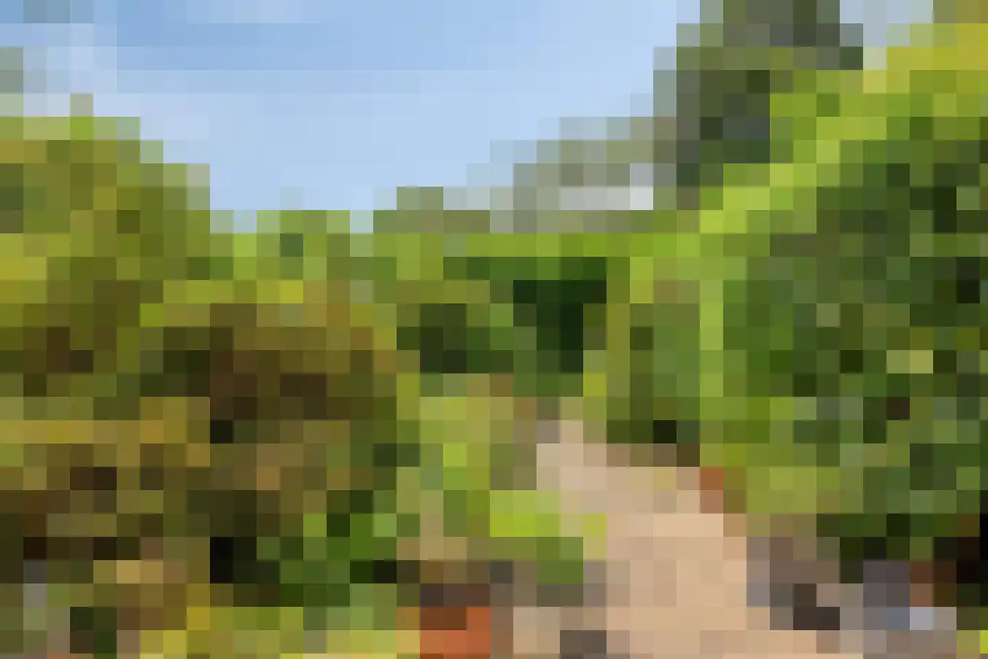 Lenningenhof 15 Eindhoven thumbnail 43